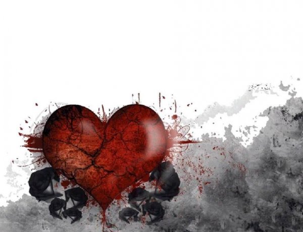 Bleedingxheart - Lovely