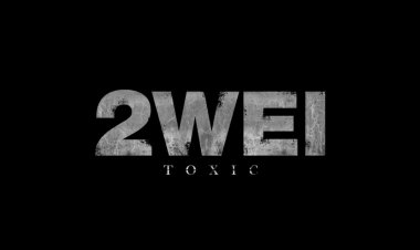 2WEI - Toxic (Britney Spears Epic Cover)