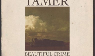 Tamer - Beautiful Crime