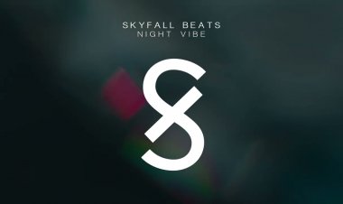 Skyfall Beats - Night Vibe (Slowed Version)