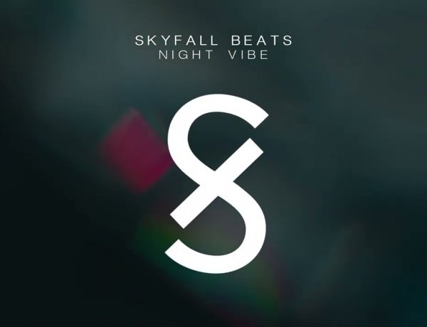 Skyfall Beats - Night Vibe (Slowed Version)